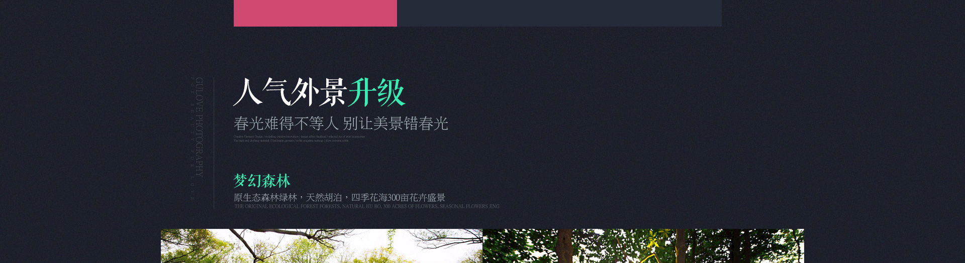 限时抢拍